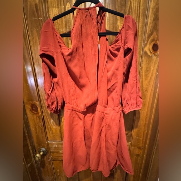 Zara Elegant Burnt Orange Long Sleeve Dress - Picture 3 of 3